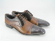 2253 GARNİ TABA V.P.NEOLİT 